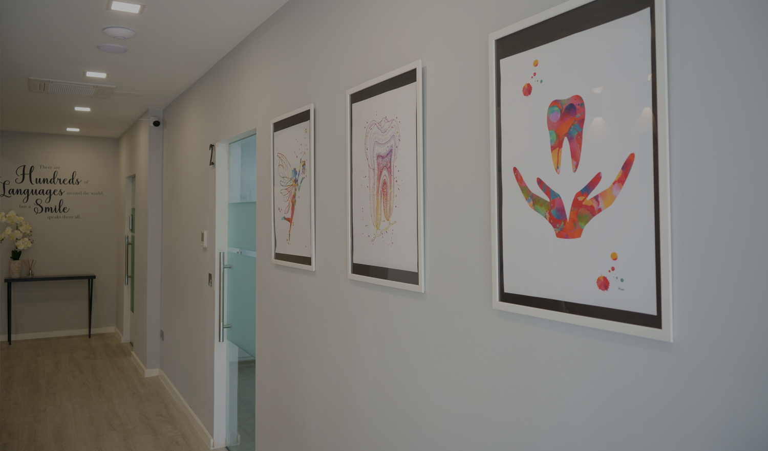 banner home slider banner